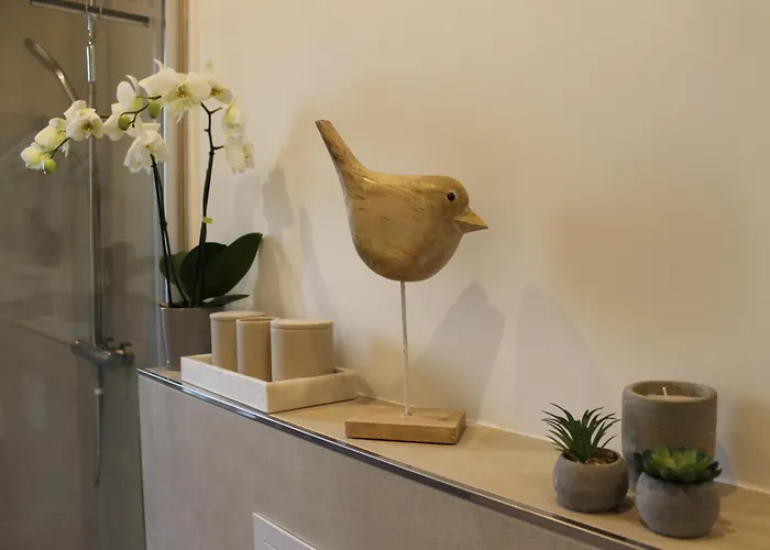 公寓 Boutique Im Zentrum *